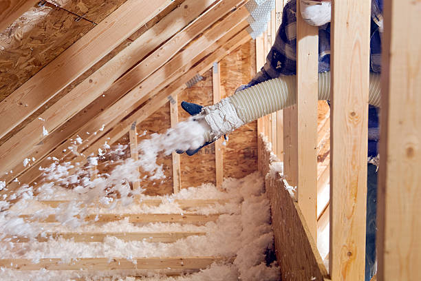 Best Eco-Friendly or Green Insulation Solutions  in Uvalde, TX